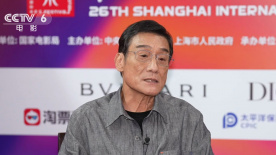 啪视频网站